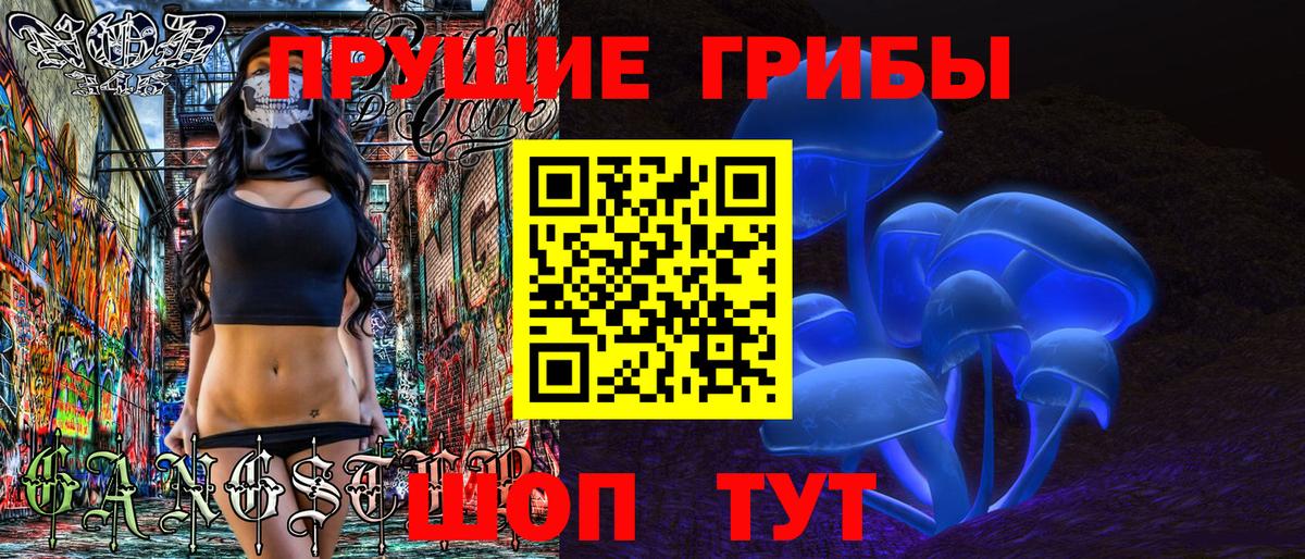 Ногинск  Псилоцибиновые грибы GOLDEN TEACHER  Галлюциногенные грибы Psilocybine cubensis  Вход с VPN 