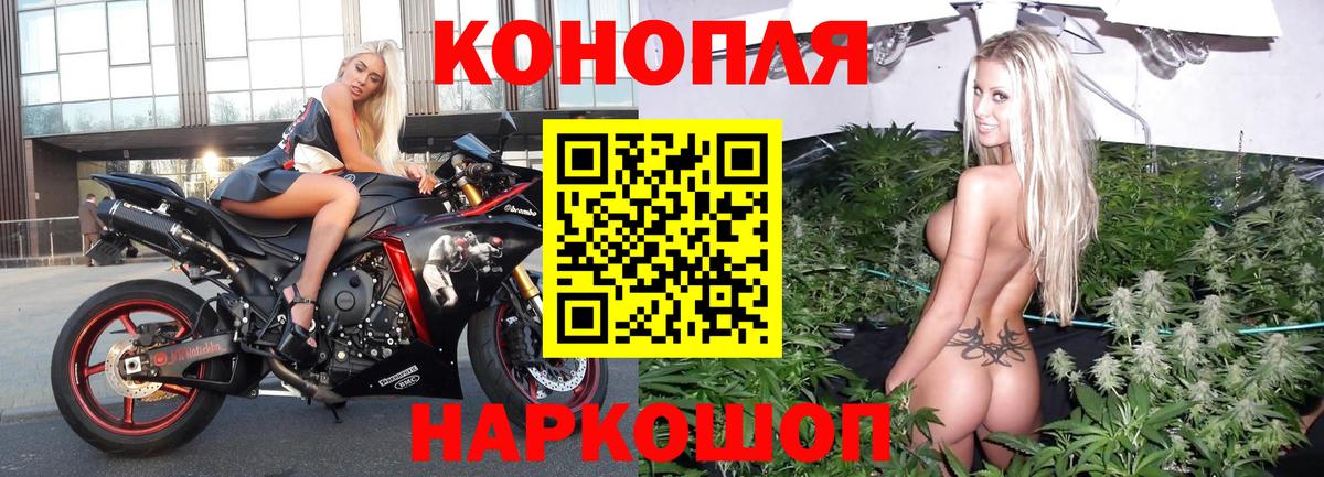 Марихуана SATIVA & INDICA  Конопля семена  Ногинск  Конопля OG Kush  Вход с VPN 